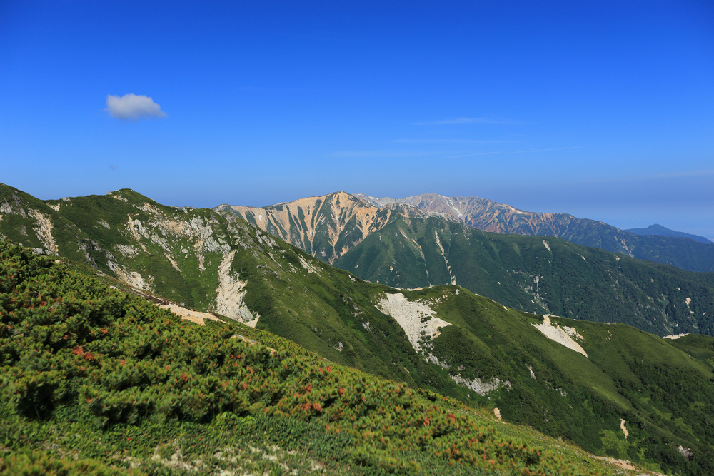 IMG_7936.jpg