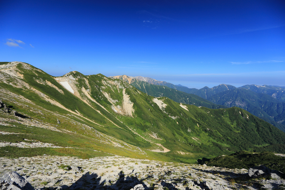 IMG_7943.jpg