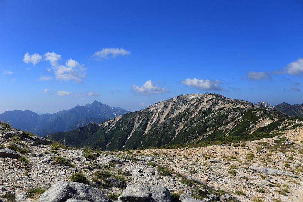 IMG_7953.jpg