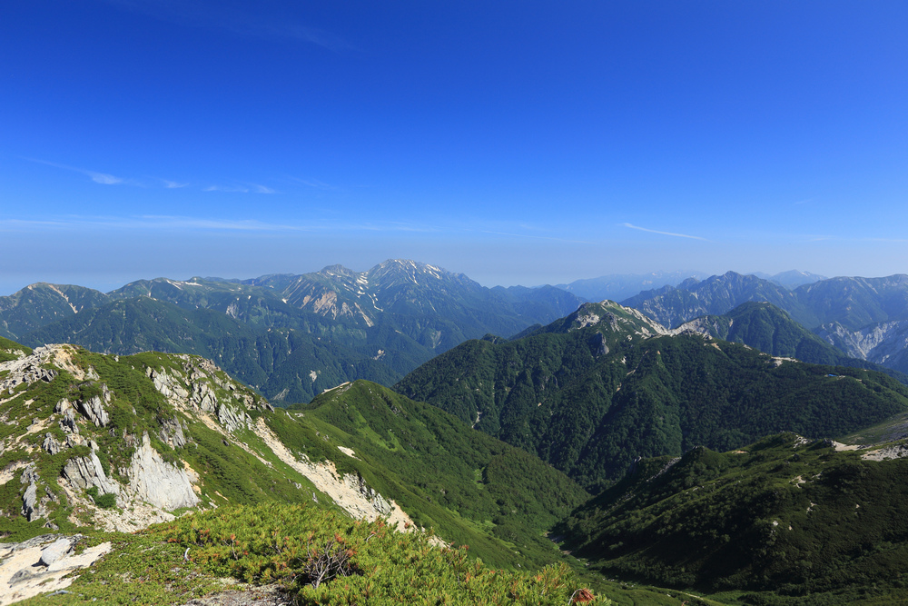 IMG_7967.jpg