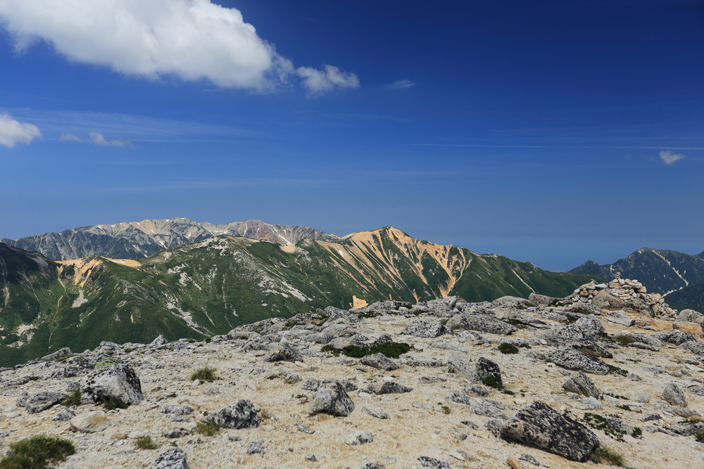 IMG_8040.jpg