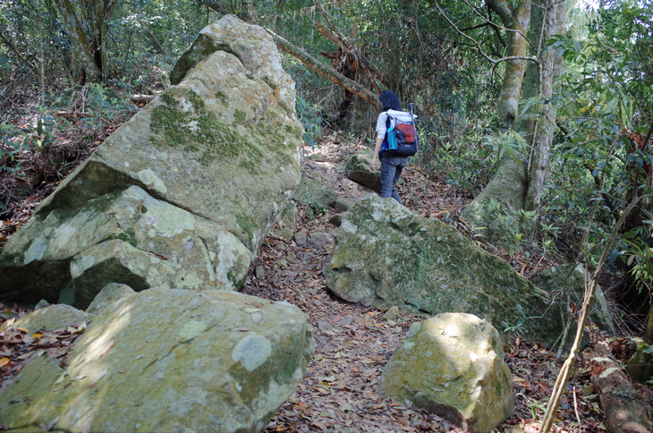 R0030179.jpg R0030179.jpg