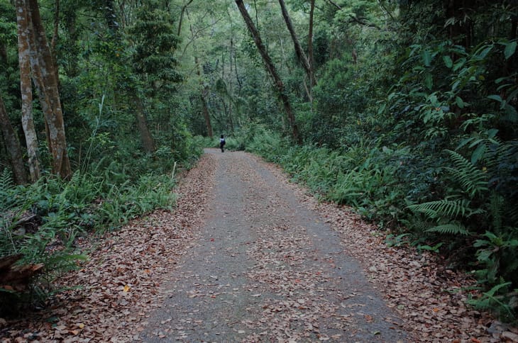 R0030300.jpg R0030300.jpg