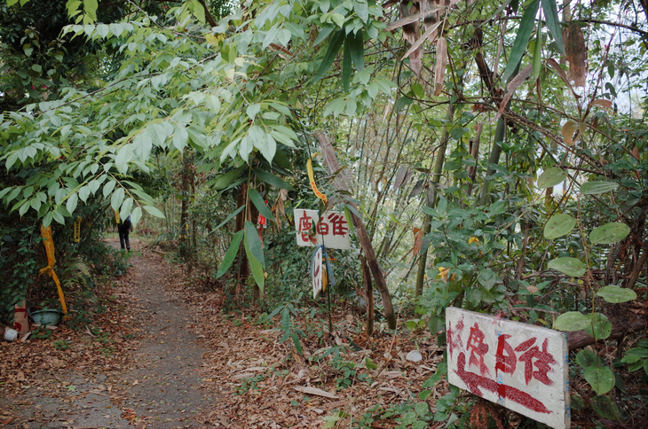R0030307.jpg R0030307.jpg