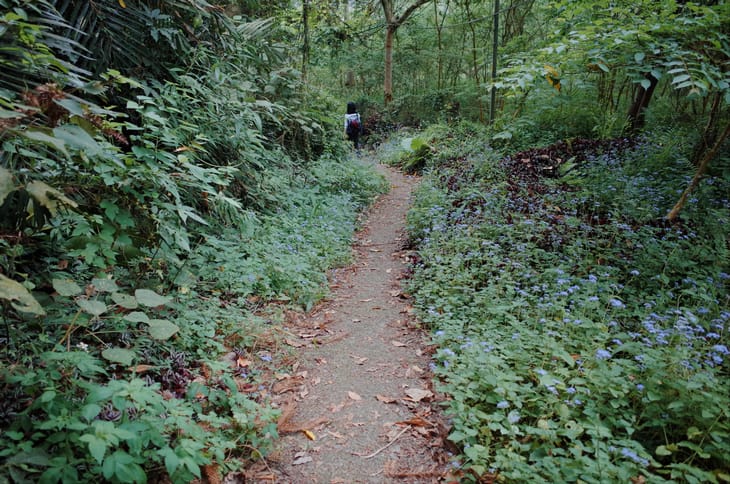 R0030310.jpg R0030310.jpg