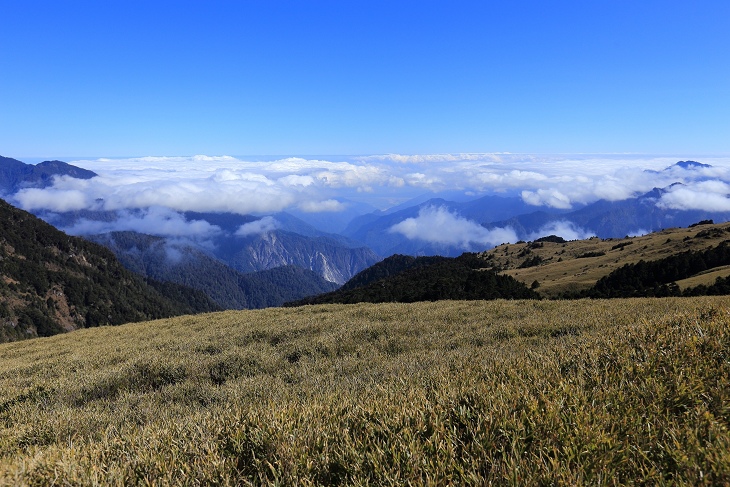 IMG_7489.jpg