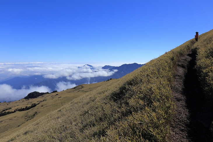 IMG_7500.jpg