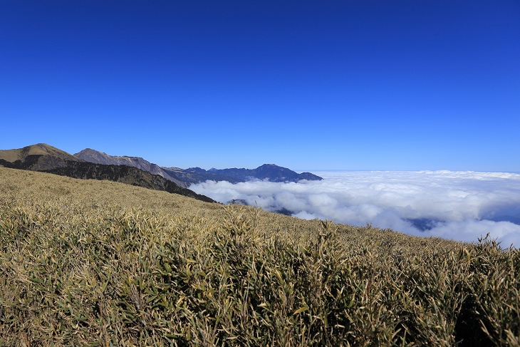 IMG_7557.jpg