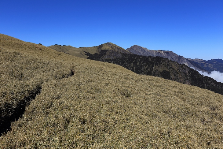 IMG_7567.jpg