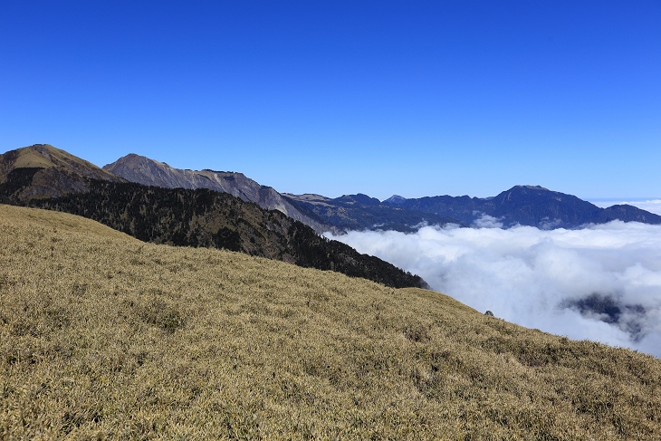 IMG_7596.jpg