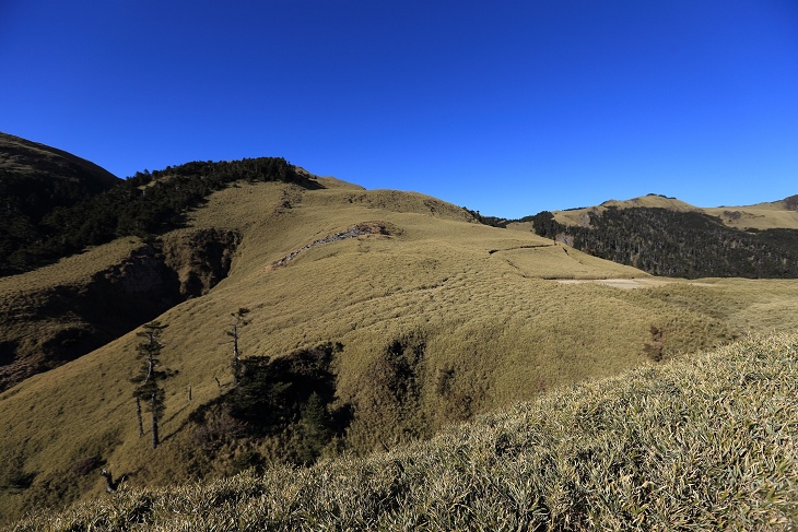 IMG_7673.jpg
