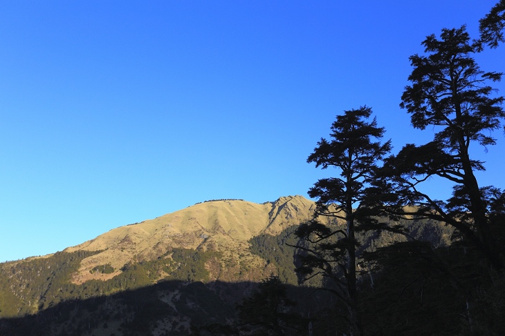 IMG_7803.jpg