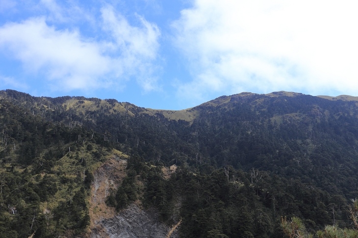 IMG_7944.jpg