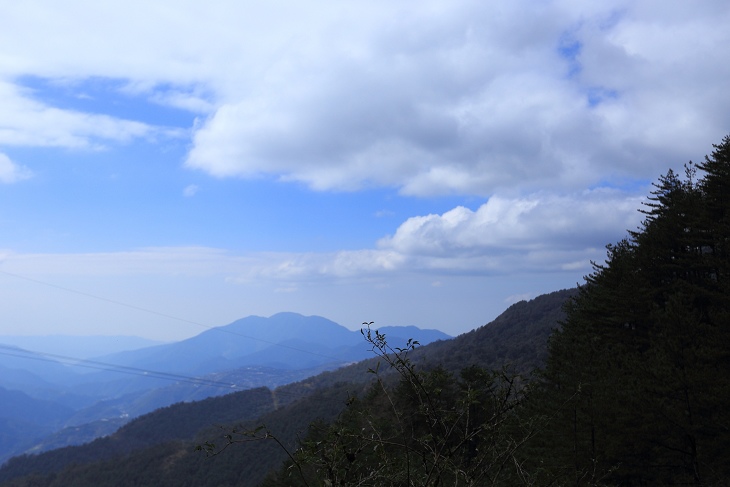 IMG_8014.jpg