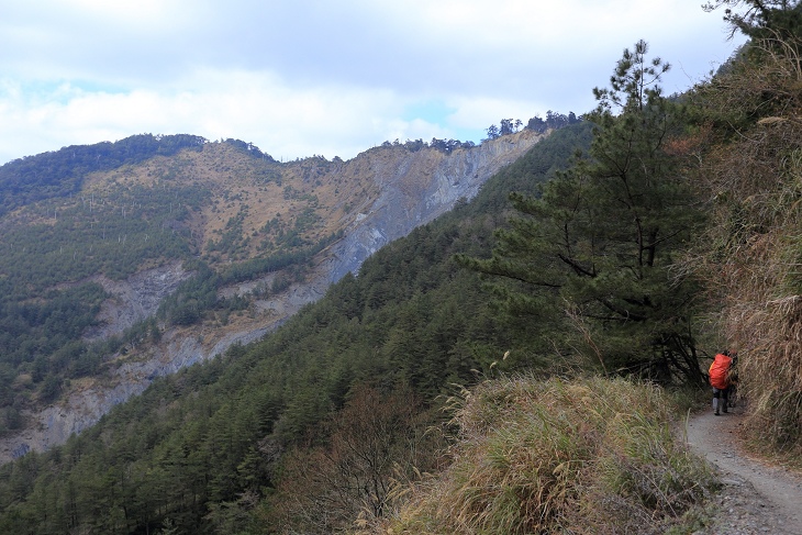 IMG_8018.jpg