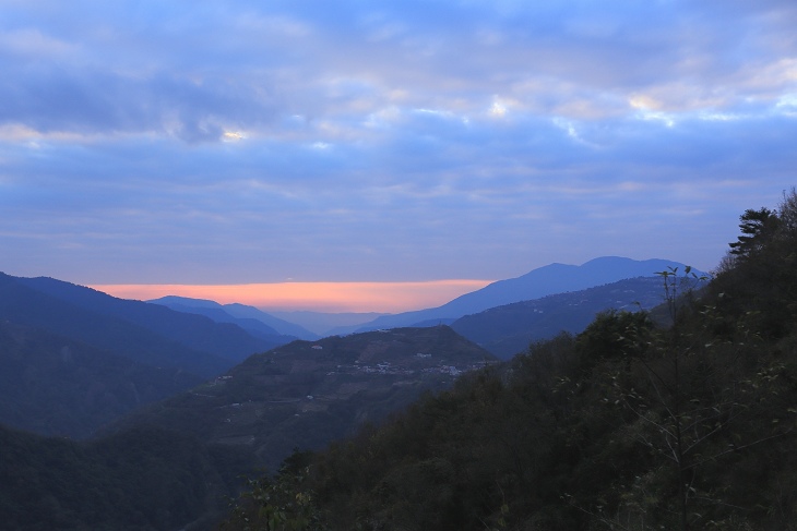IMG_8081.jpg